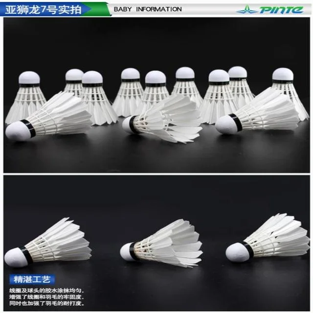 凡晨组合重返赛场引发关注